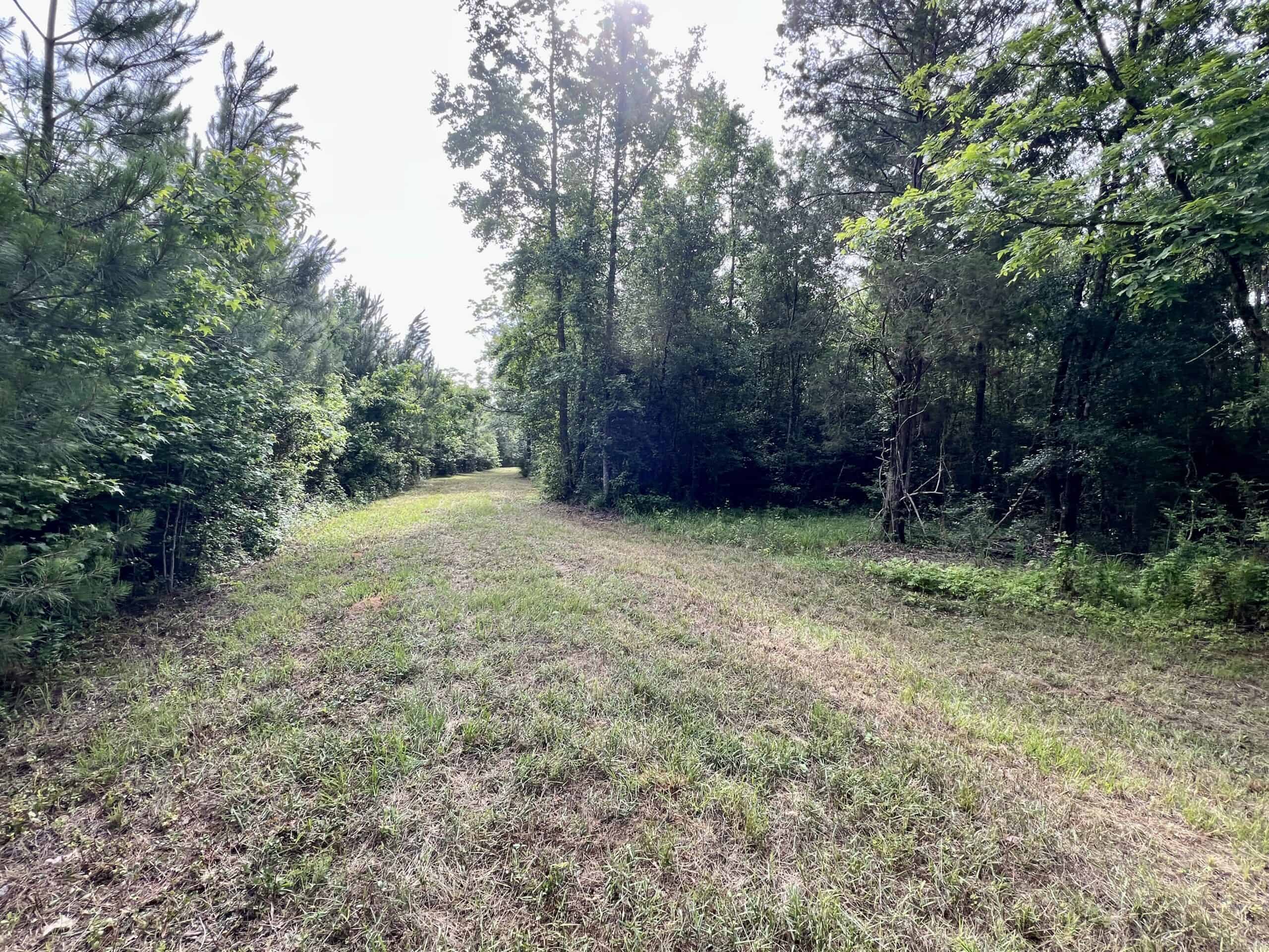 North Florida Hunting Land for Sale
