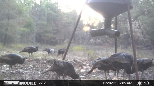 Turn Key Small Hunting Tract in Hinds County