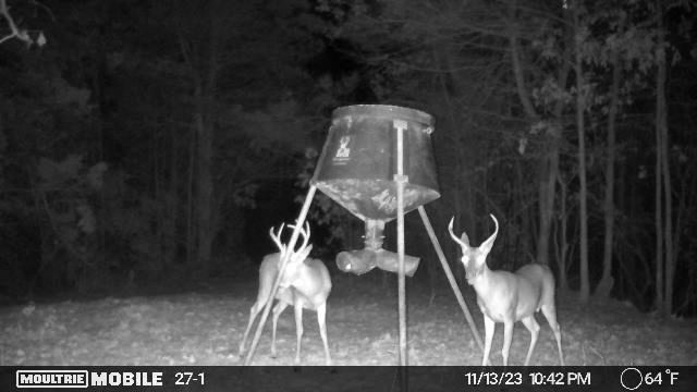 Turn Key Small Hunting Tract in Hinds County