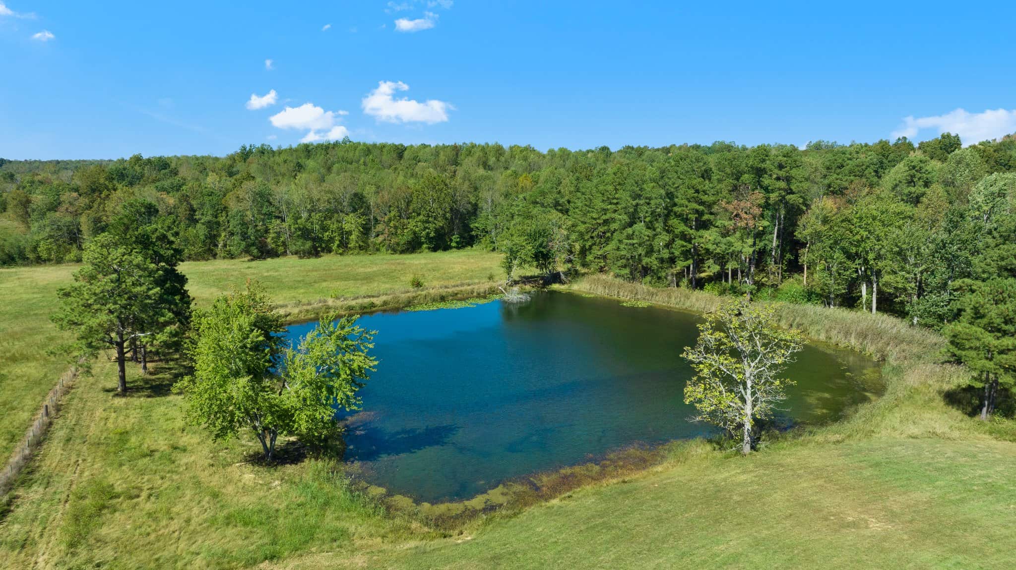 600 Acre Cattle Farm & Hunting Property w/ 3 Custom-Built Residential Homes w/ Basements & Room To Grow, A Turn-Key Opportunity in Nebo, KY 42441
