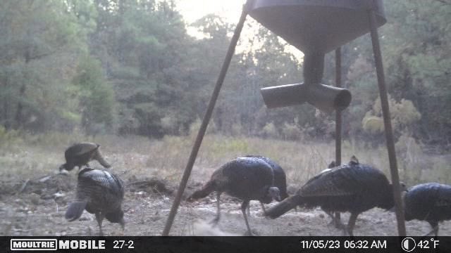 Turn Key Small Hunting Tract in Hinds County