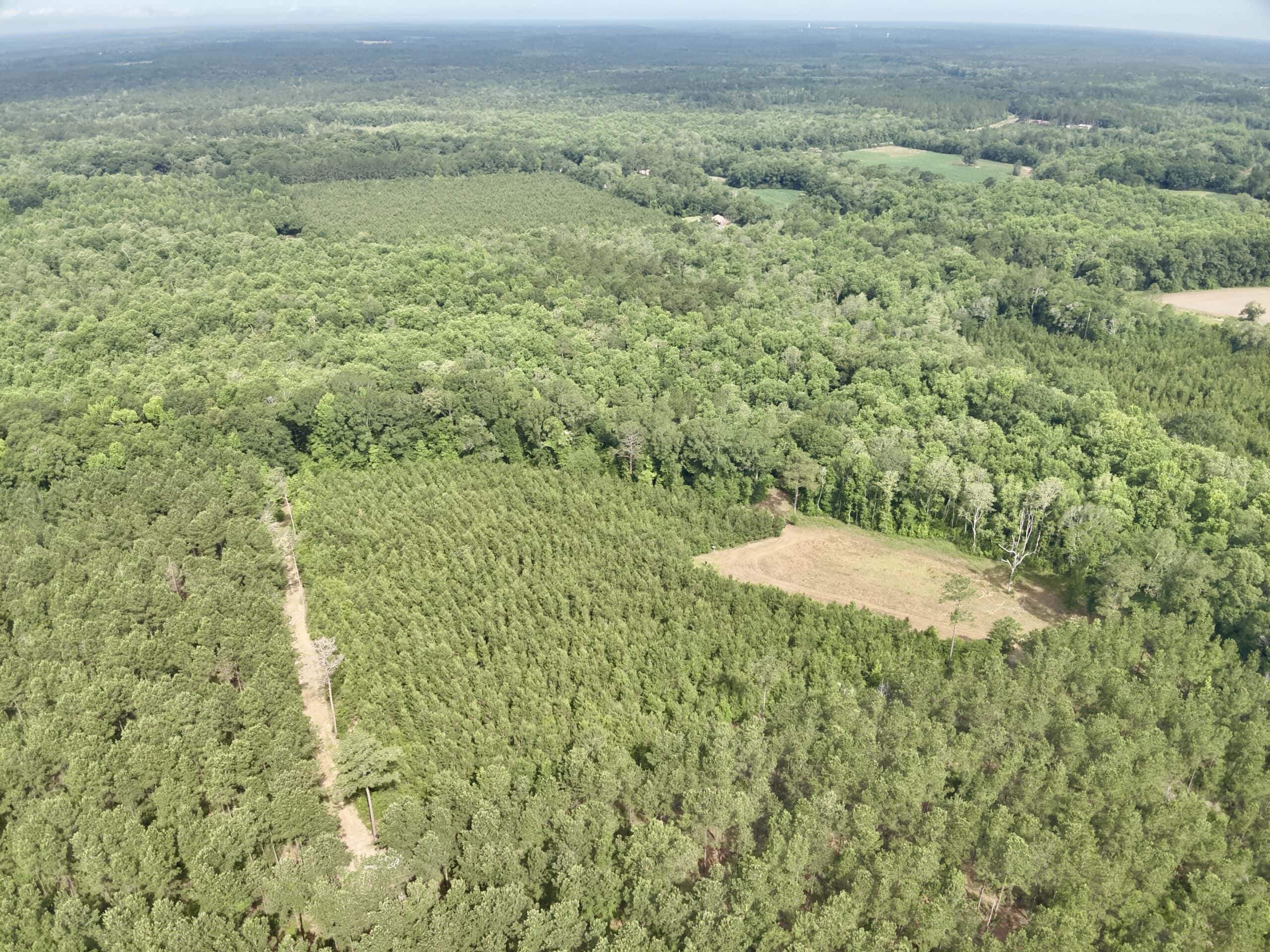 North Florida Hunting Land for Sale