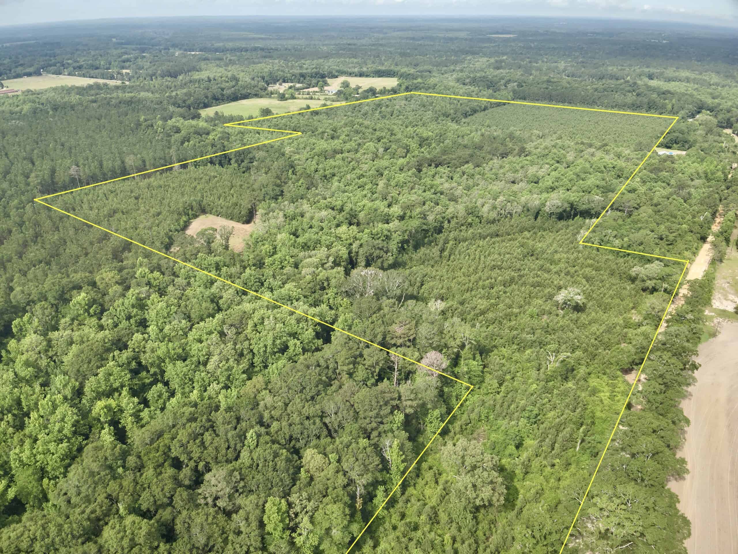 North Florida Hunting Land for Sale