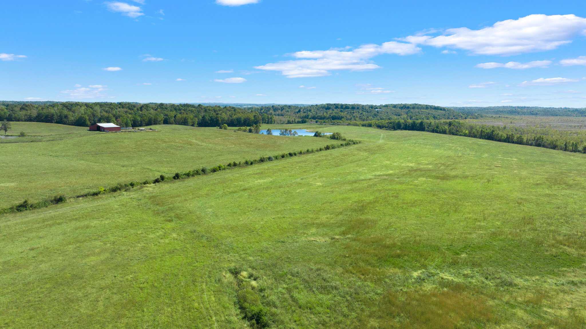 600 Acre Cattle Farm & Hunting Property w/ 3 Custom-Built Residential Homes w/ Basements & Room To Grow, A Turn-Key Opportunity in Nebo, KY 42441