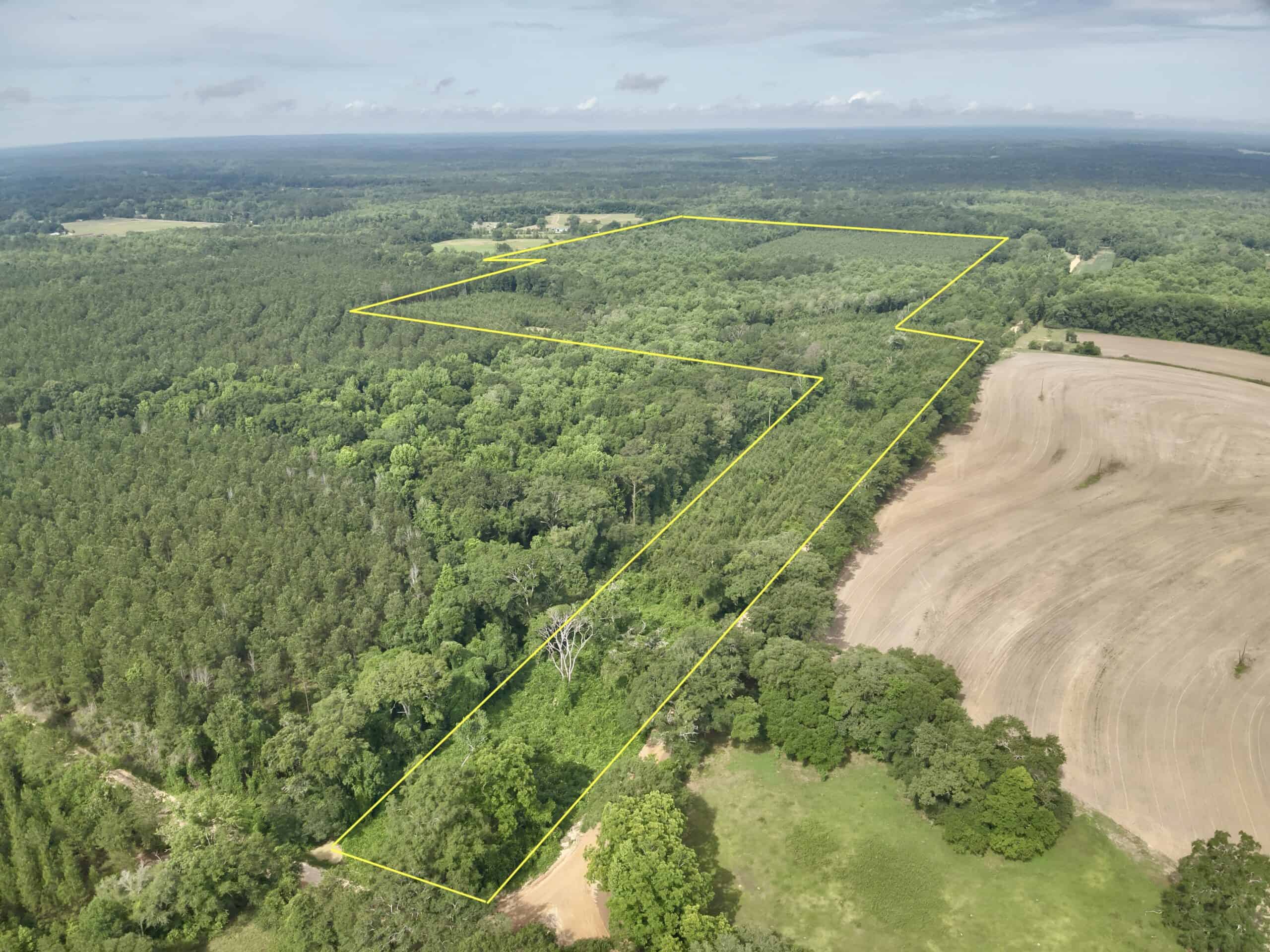 North Florida Hunting Land for Sale