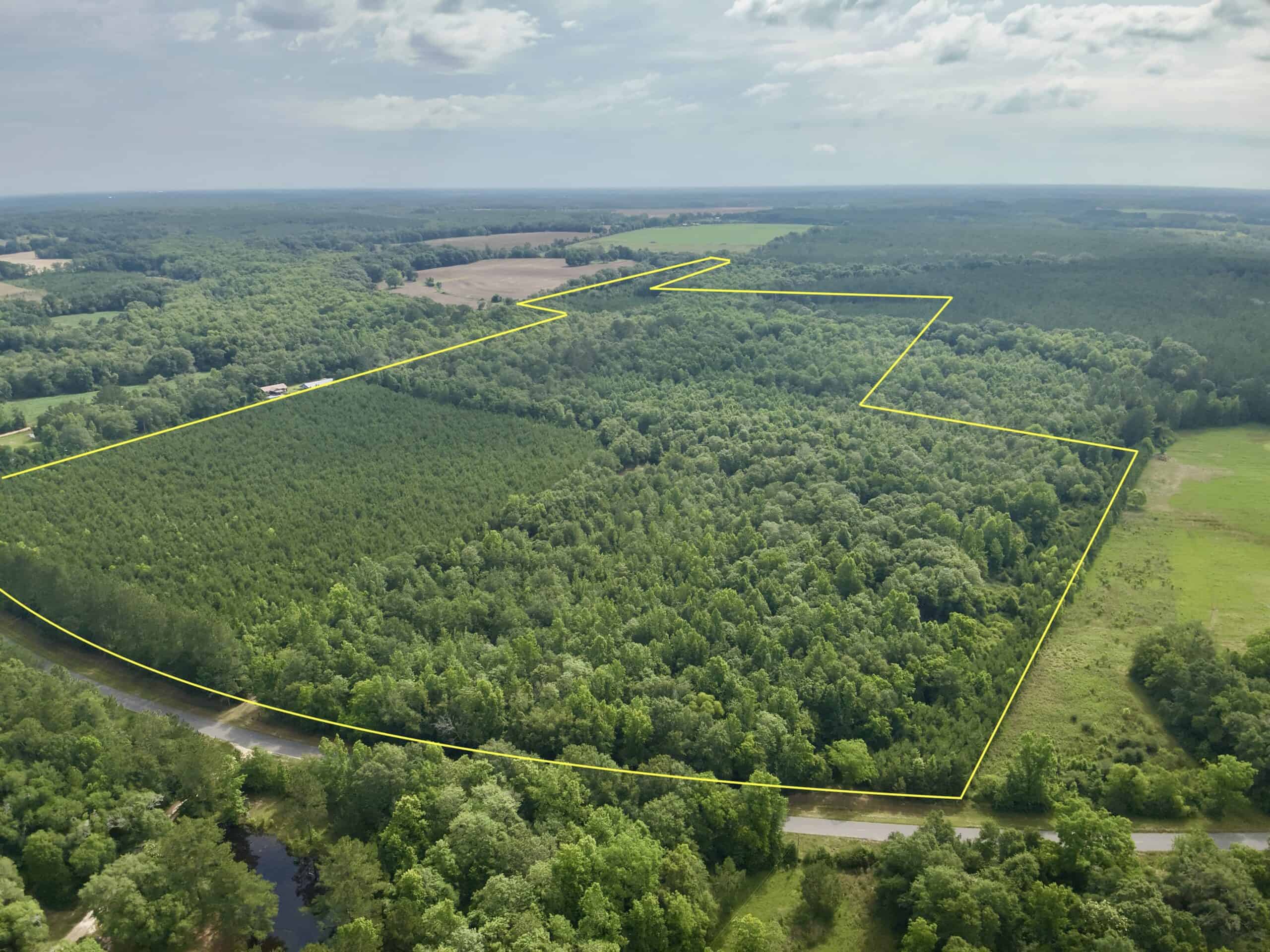 North Florida Hunting Land for Sale