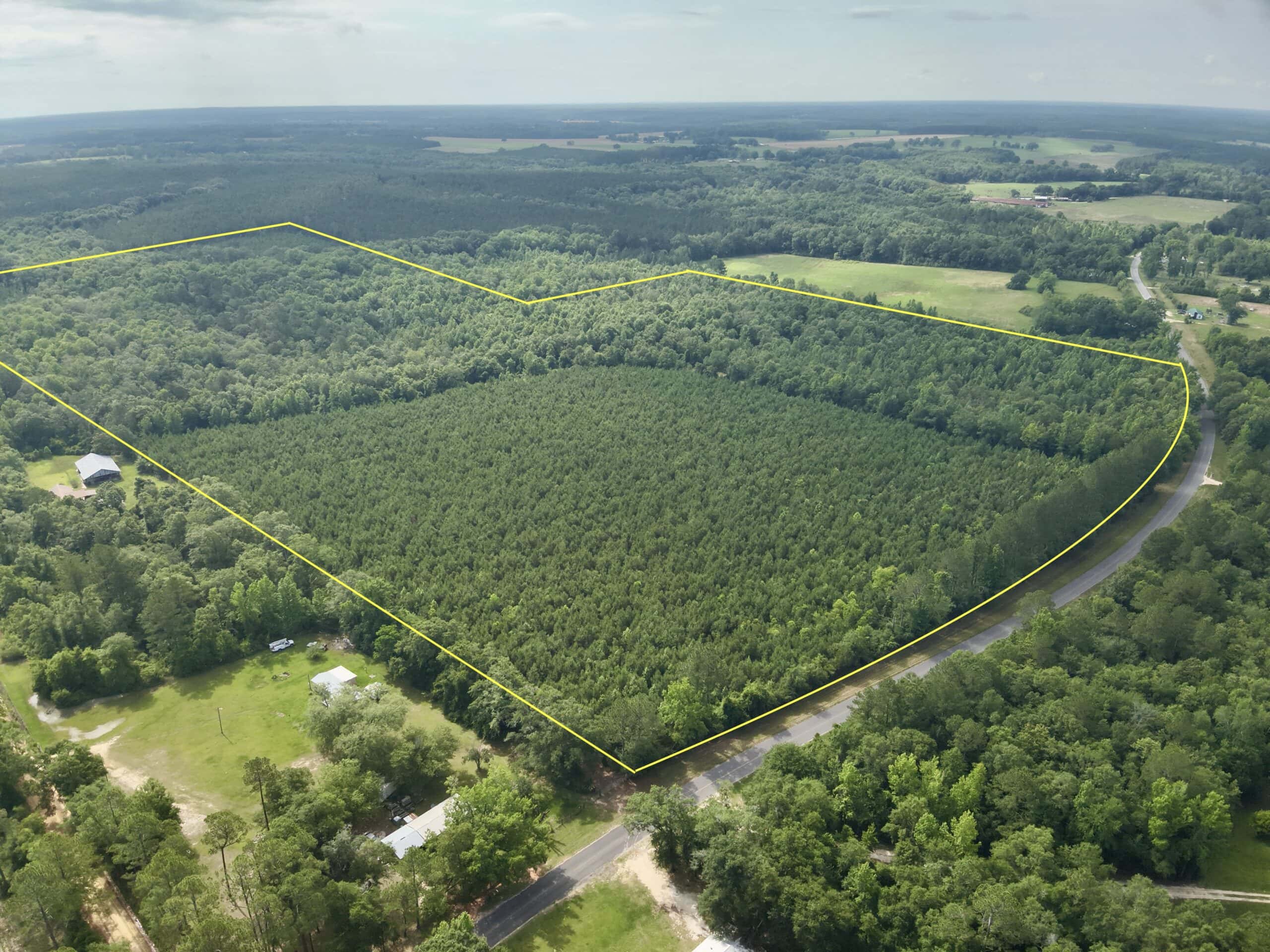 North Florida Hunting Land for Sale