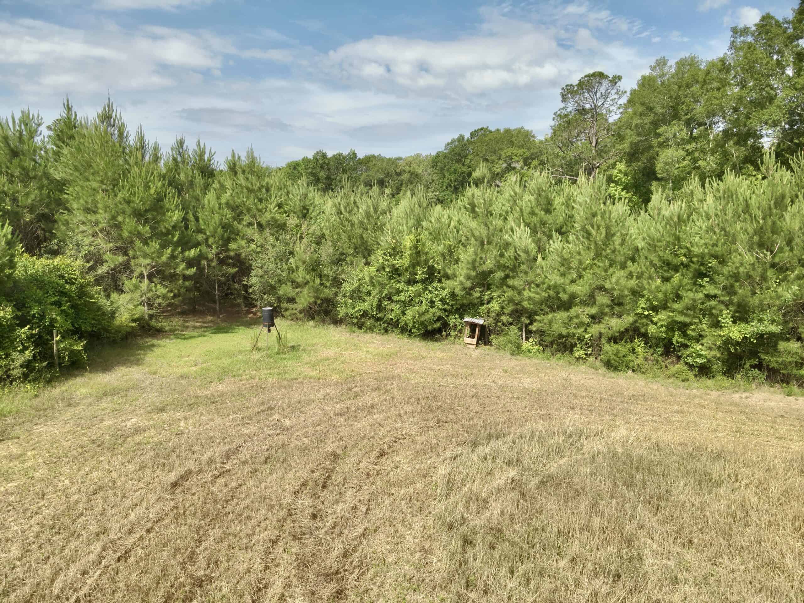 North Florida Hunting Land for Sale