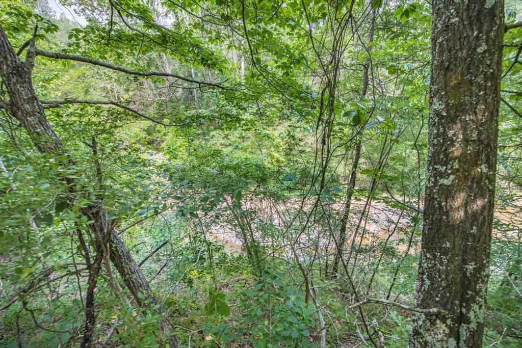 Turn Key Small Hunting Tract in Hinds County