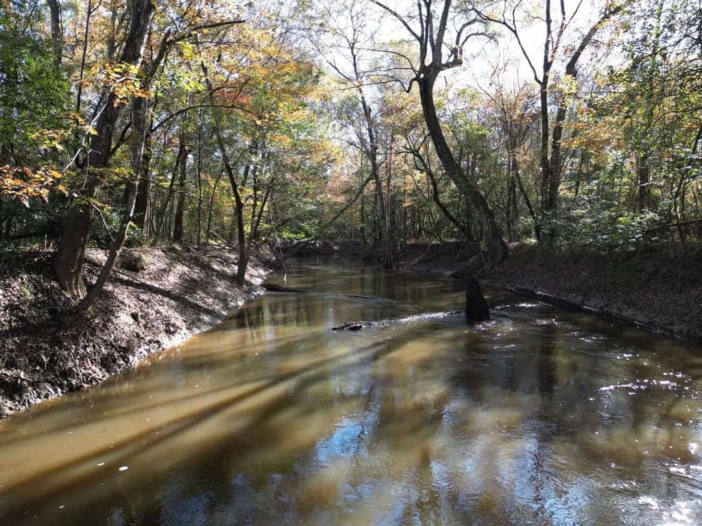 Hunting Land and Camp for Sale on the Pearl River