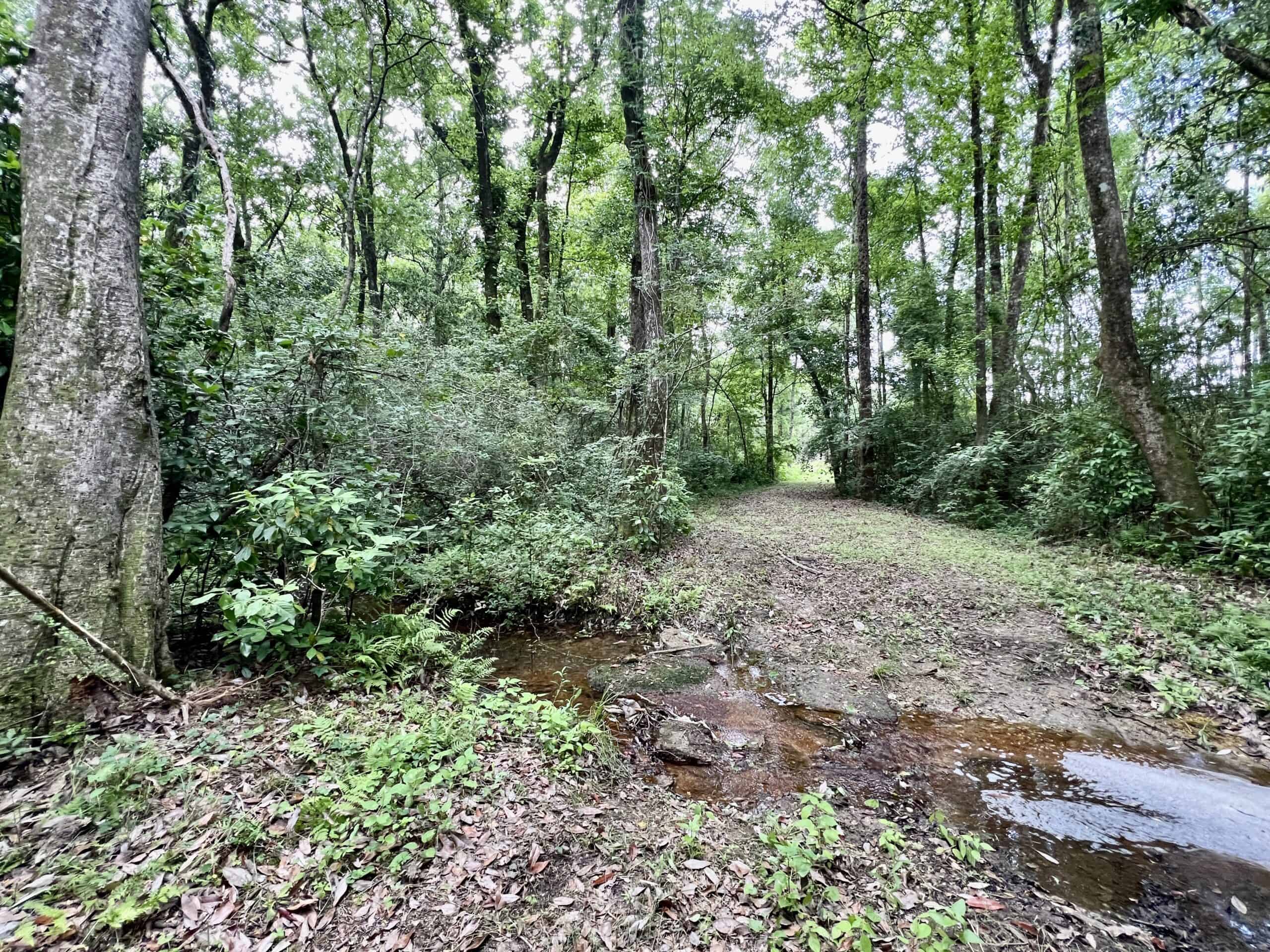North Florida Hunting Land for Sale