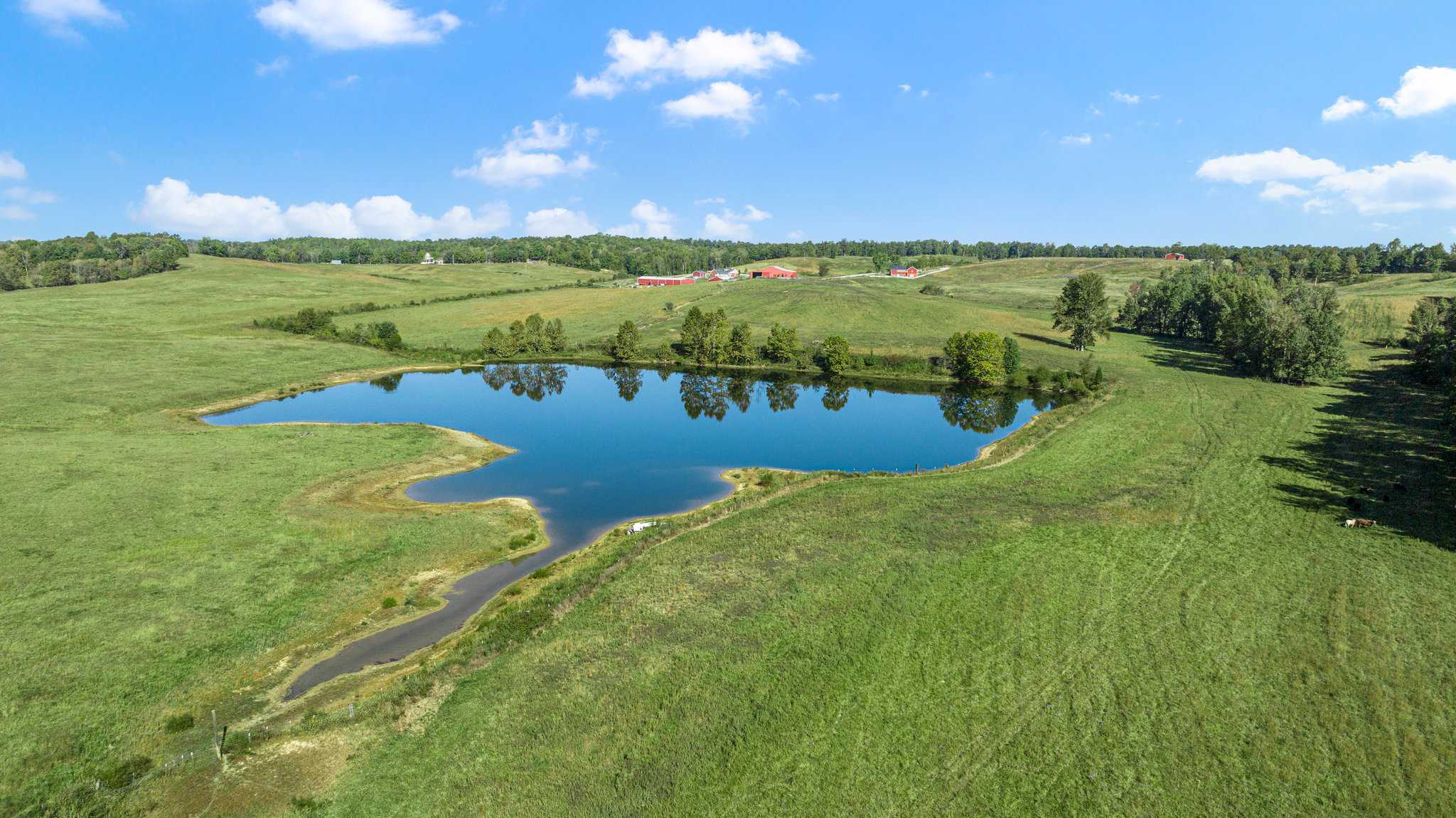 600 Acre Cattle Farm & Hunting Property w/ 3 Custom-Built Residential Homes w/ Basements & Room To Grow, A Turn-Key Opportunity in Nebo, KY 42441