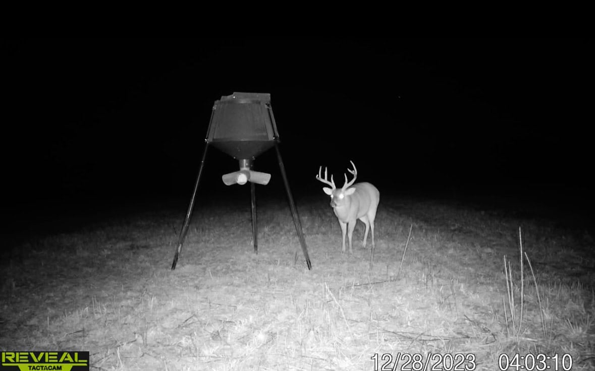 Delta Duck and Deer Hunting Property for Sale