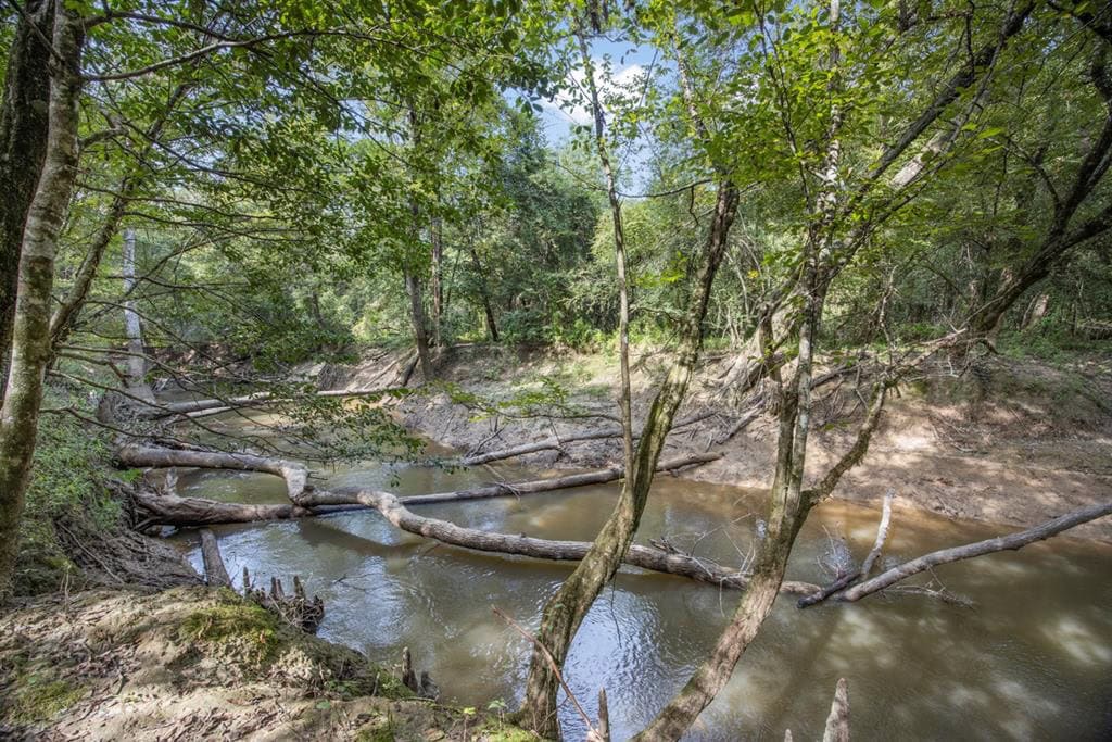 Hunting Land and Camp for Sale on the Pearl River