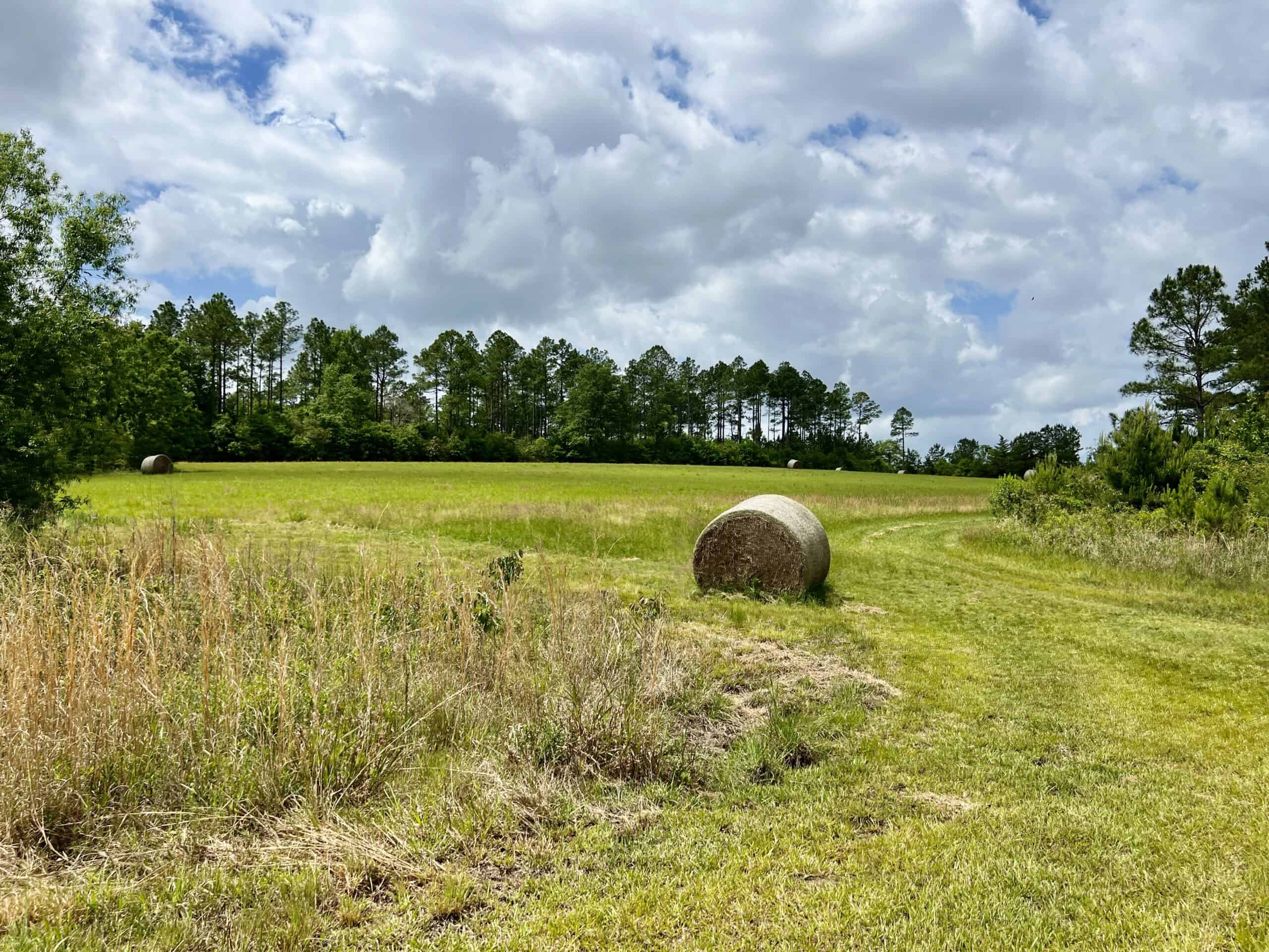 300ac North Florida Farm – Hunting Land & Home for Sale