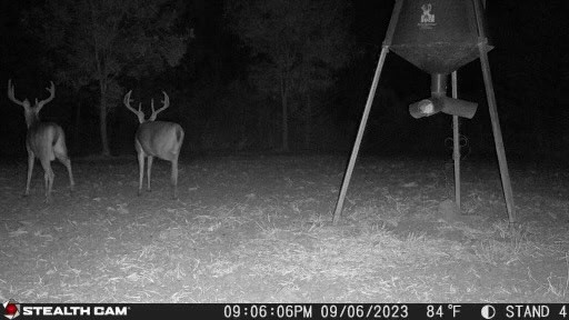 Delta Duck and Deer Hunting Property for Sale