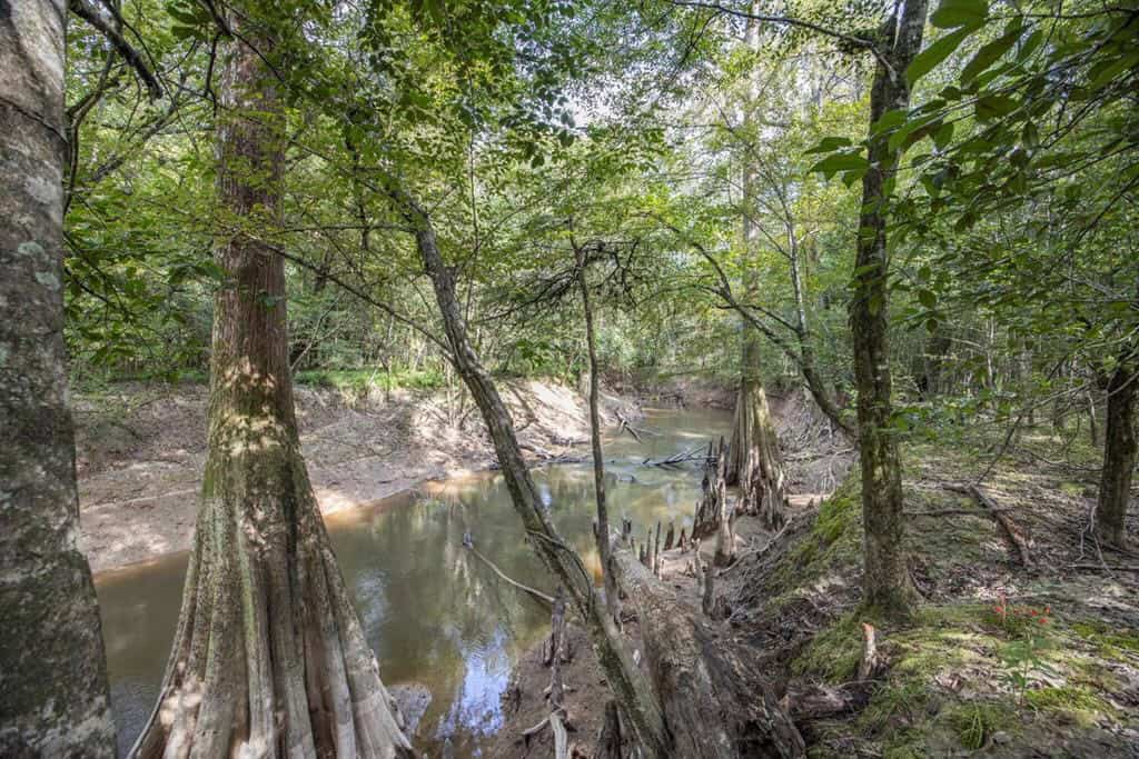 Hunting Land and Camp for Sale on the Pearl River