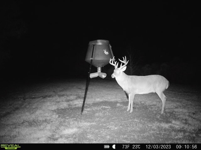 Delta Duck and Deer Hunting Property for Sale