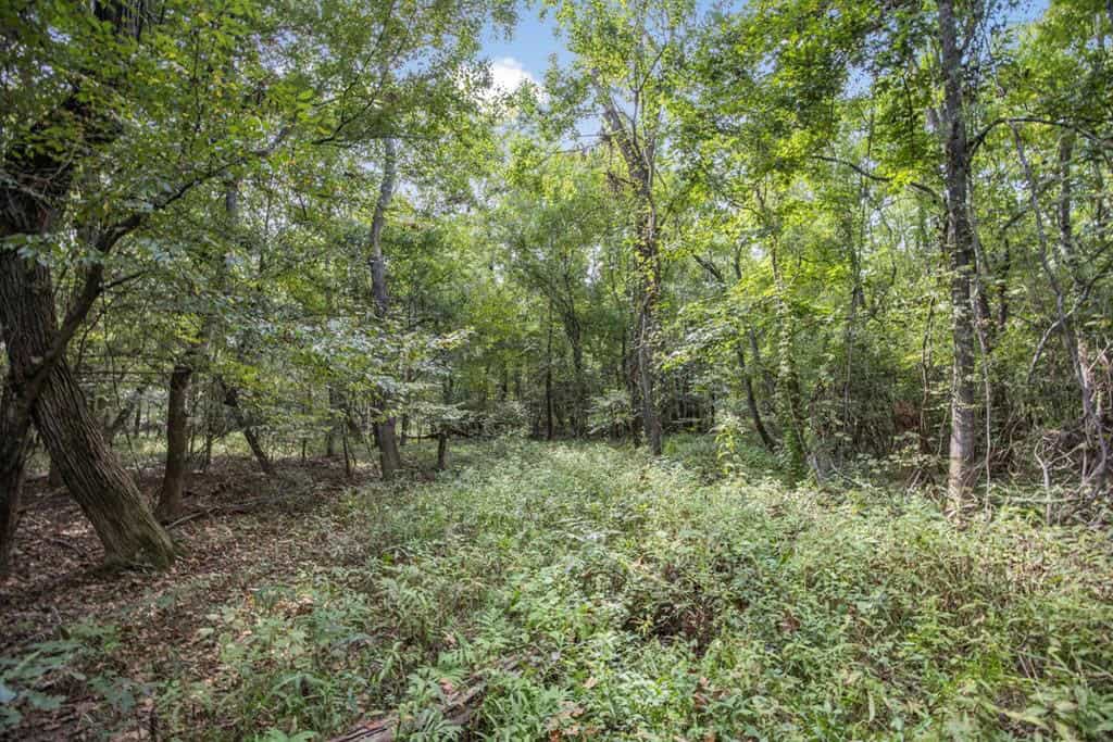 Hunting Land and Camp for Sale on the Pearl River