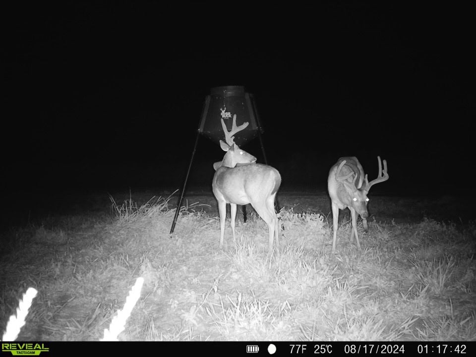 Delta Duck and Deer Hunting Property for Sale