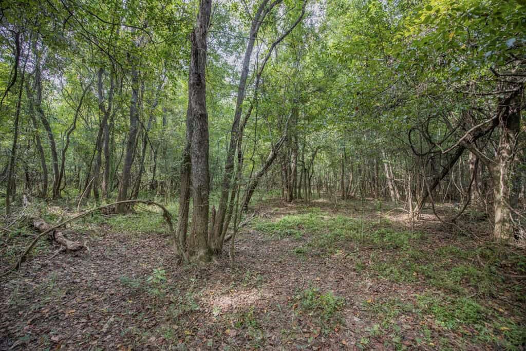 Hunting Land and Camp for Sale on the Pearl River