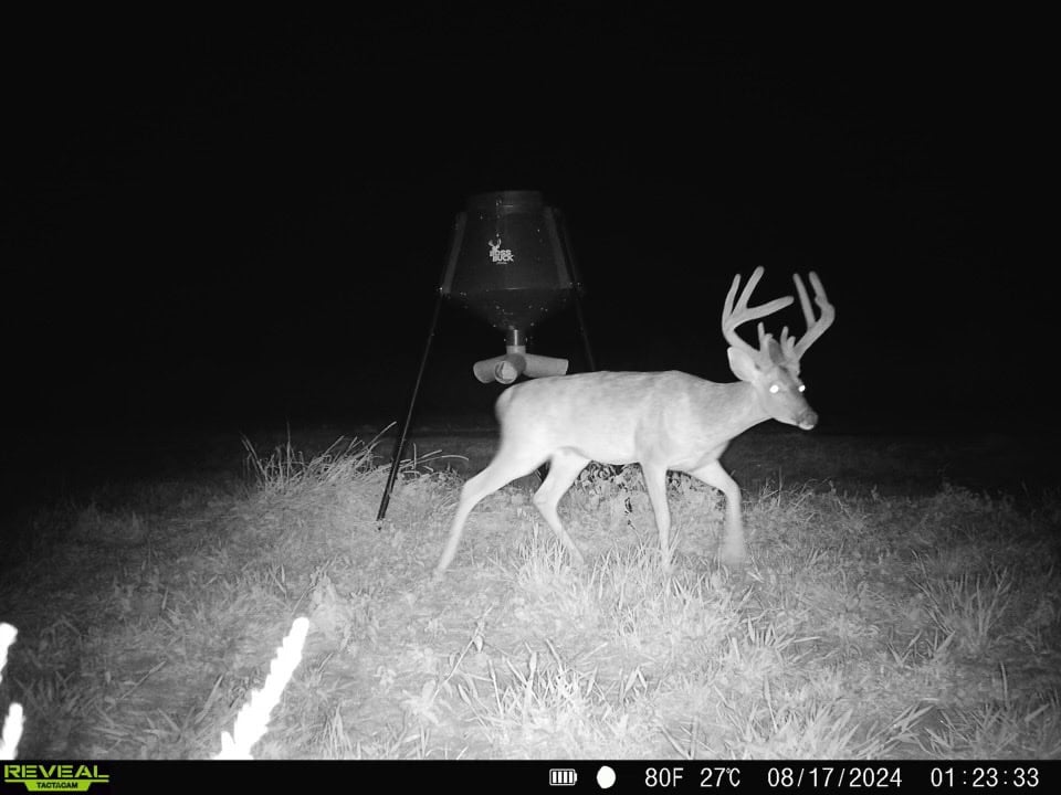 Delta Duck and Deer Hunting Property for Sale