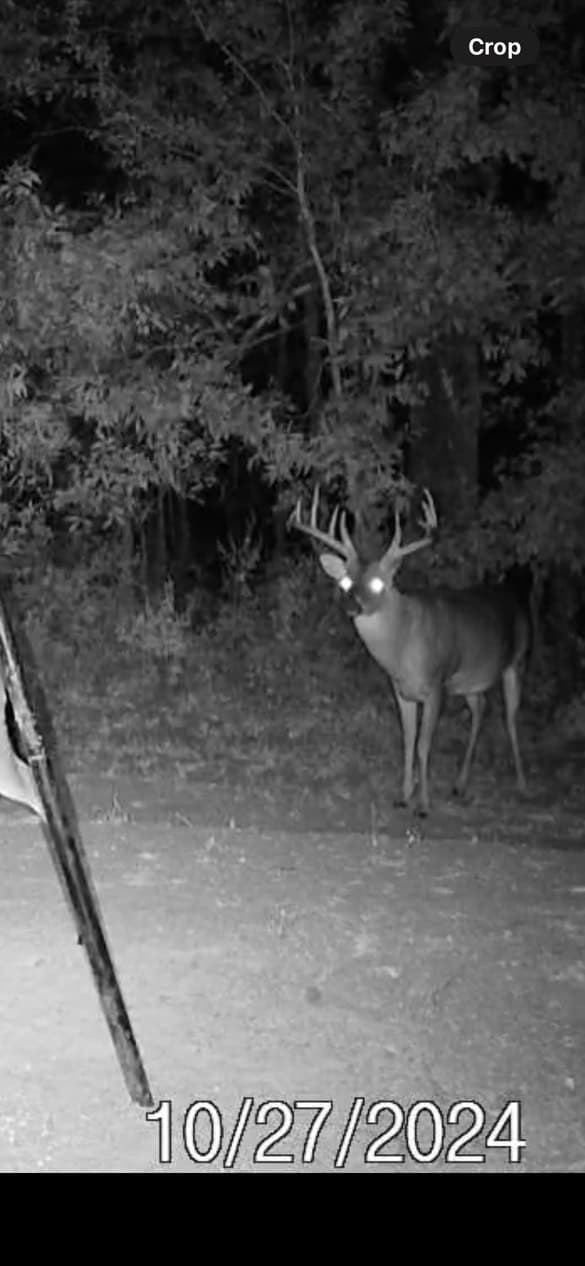 Delta Duck and Deer Hunting Property for Sale