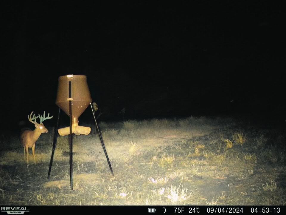 Delta Duck and Deer Hunting Property for Sale