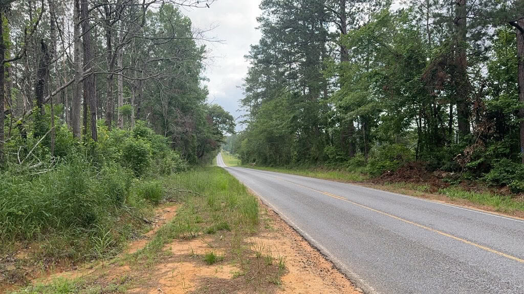 42 Acres Hunting Timberland for Sale Amite County, MS