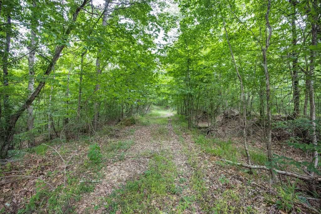Turn Key Small Hunting Tract in Hinds County
