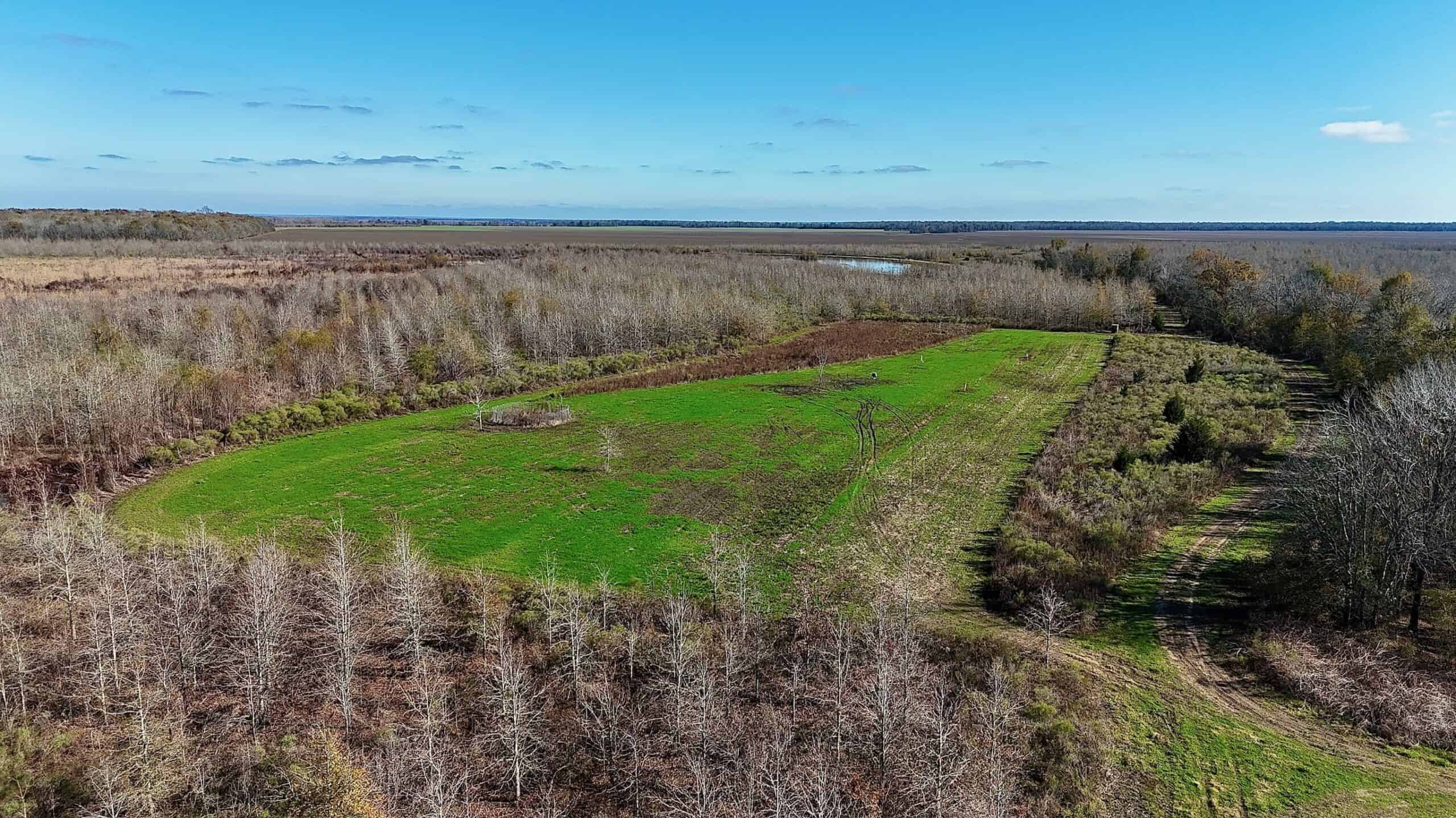 Delta Duck and Deer Hunting Property for Sale