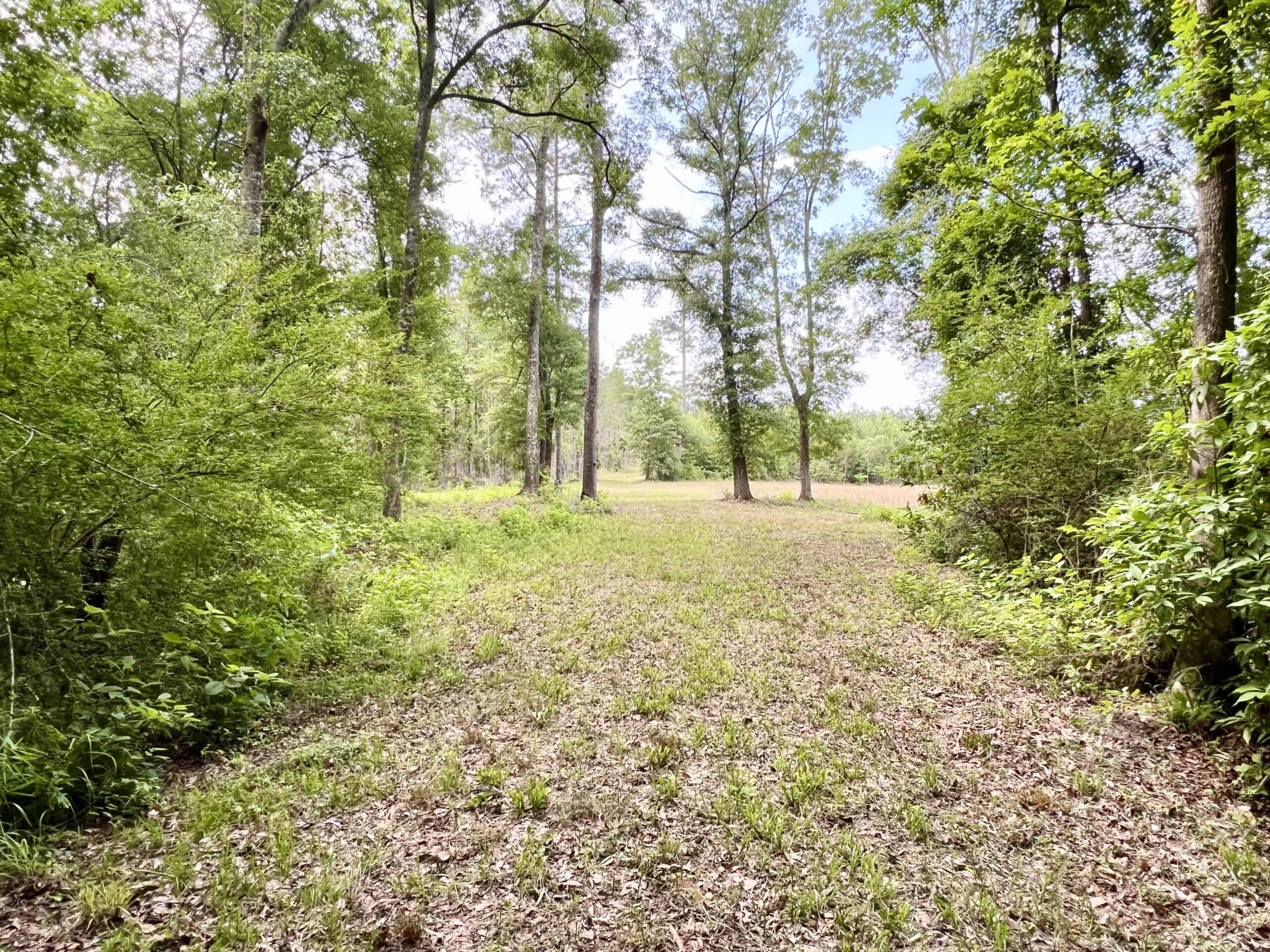 North Florida Hunting Land for Sale
