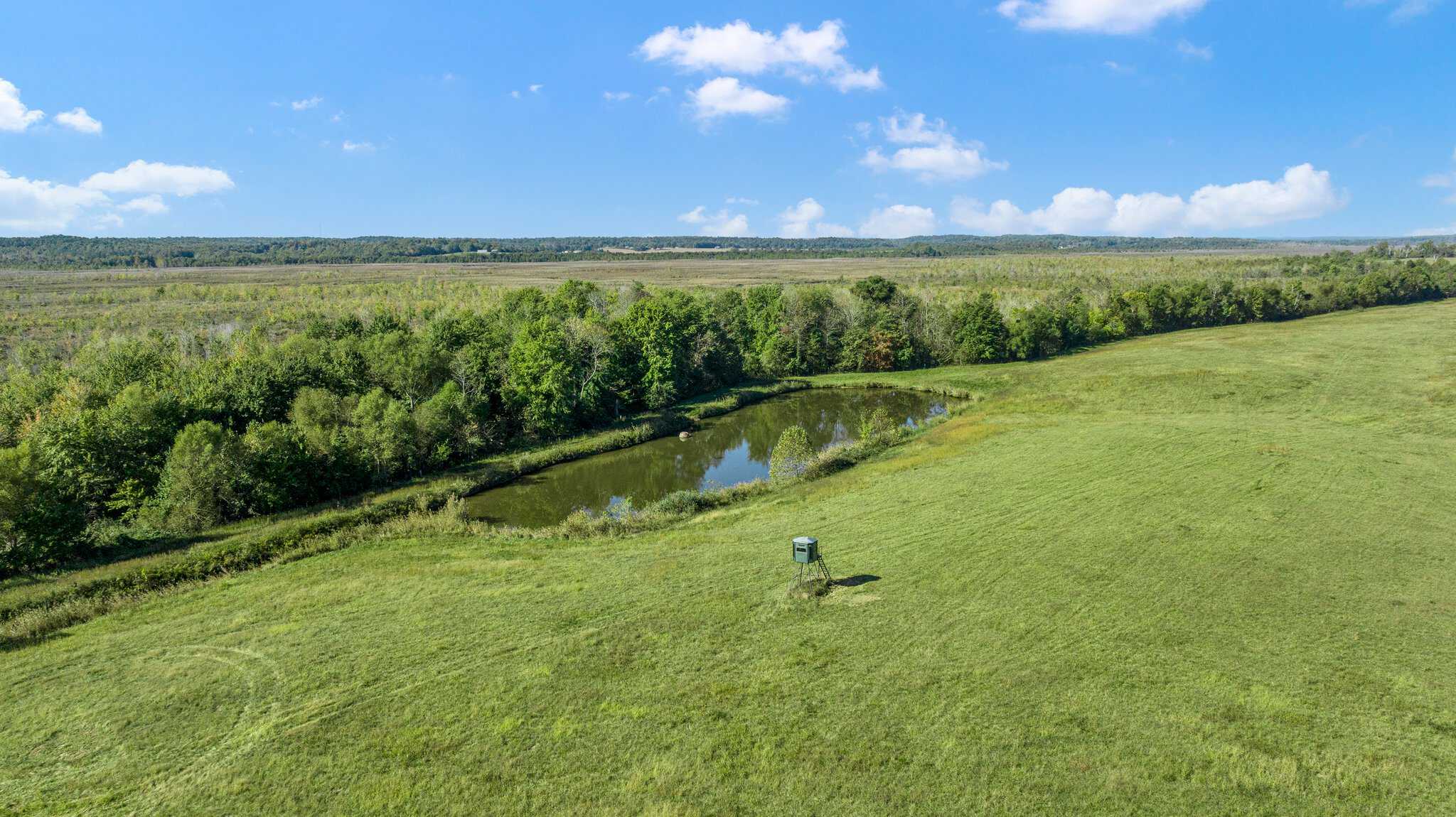 600 Acre Cattle Farm & Hunting Property w/ 3 Custom-Built Residential Homes w/ Basements & Room To Grow, A Turn-Key Opportunity in Nebo, KY 42441
