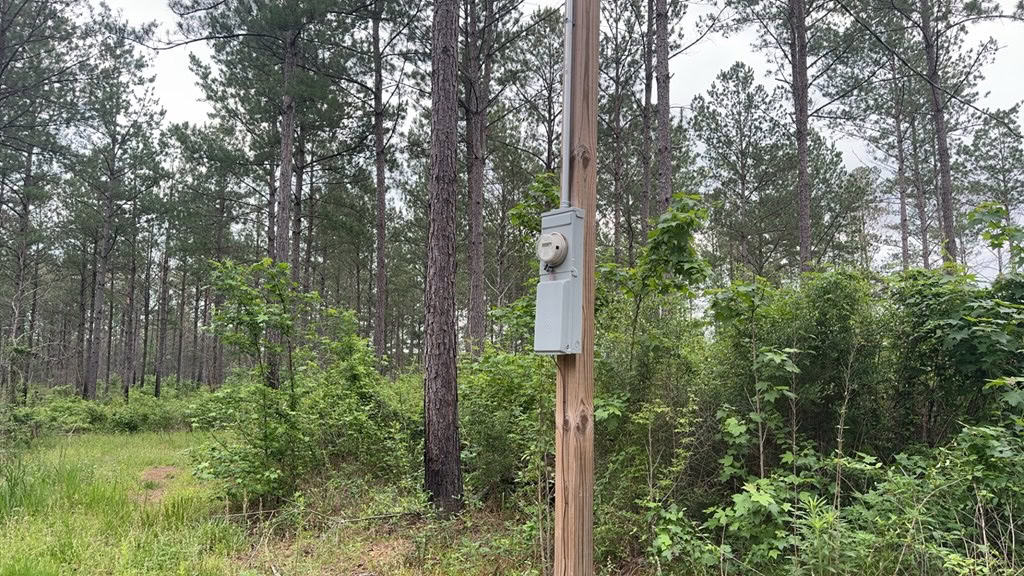 42 Acres Hunting Timberland for Sale Amite County, MS