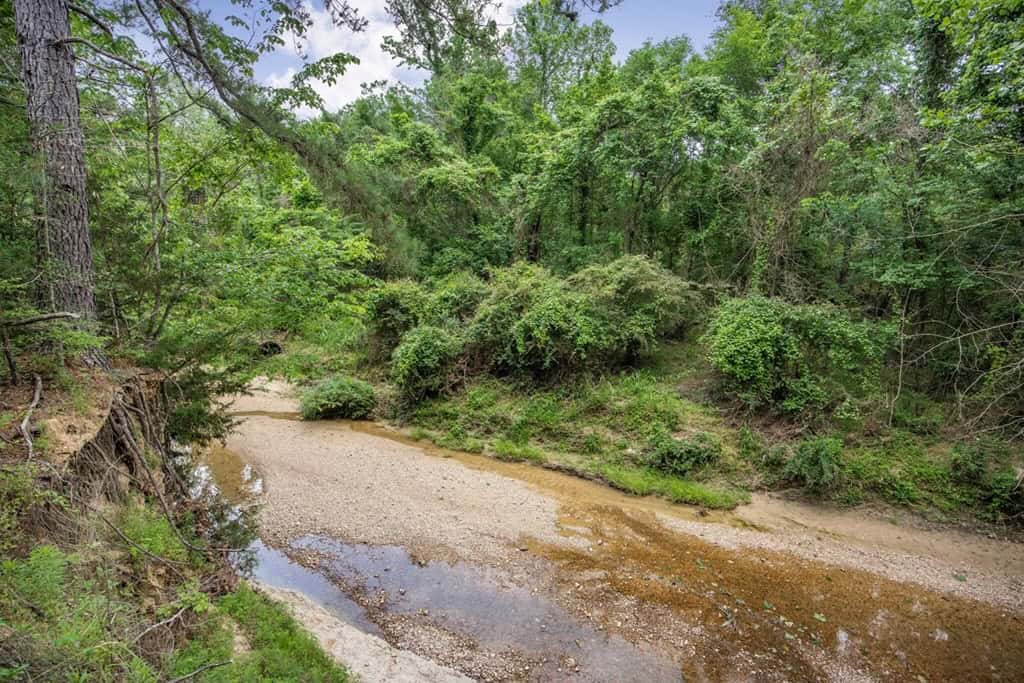 Turn Key Small Hunting Tract in Hinds County