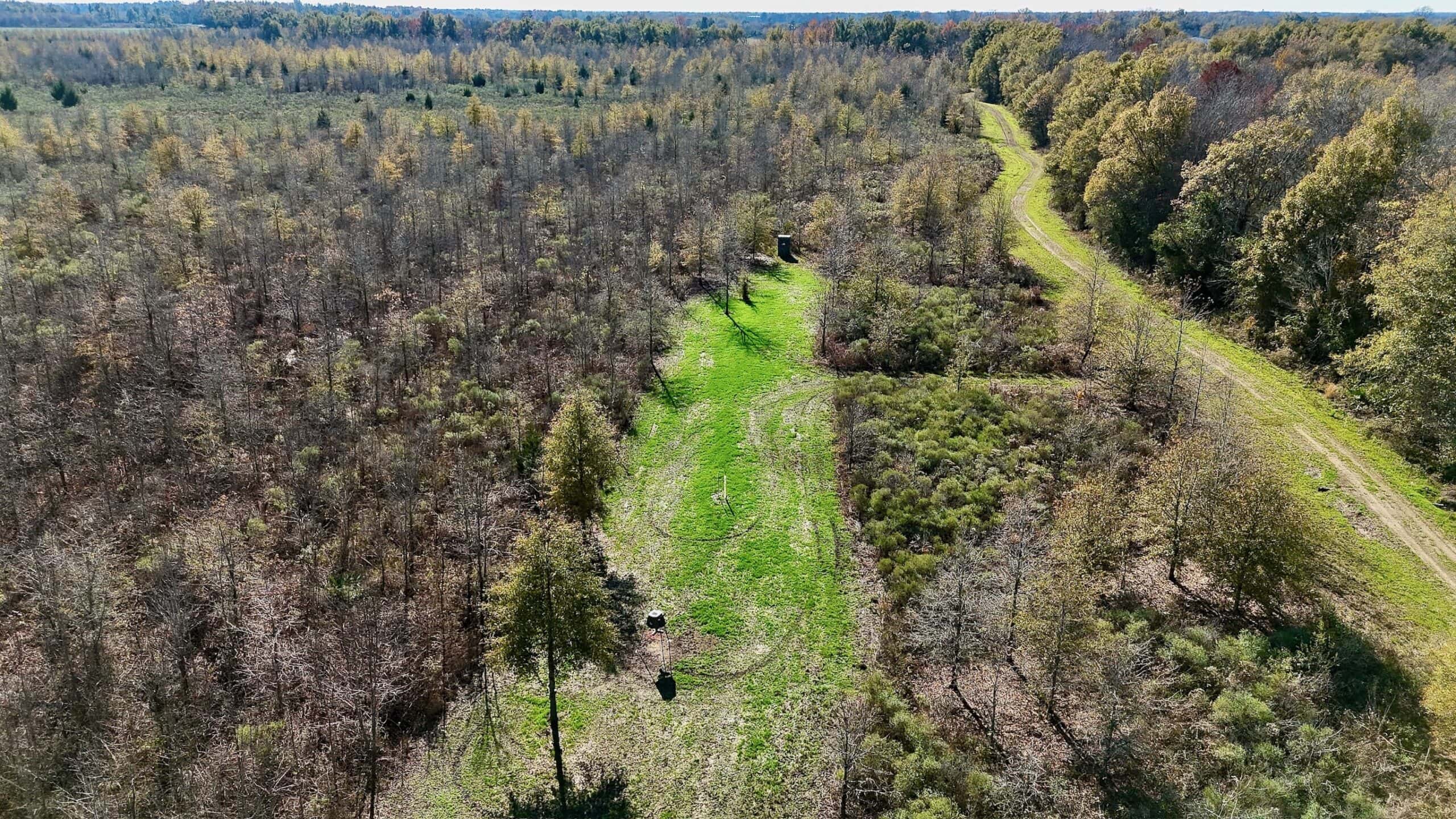 Delta Duck and Deer Hunting Property for Sale