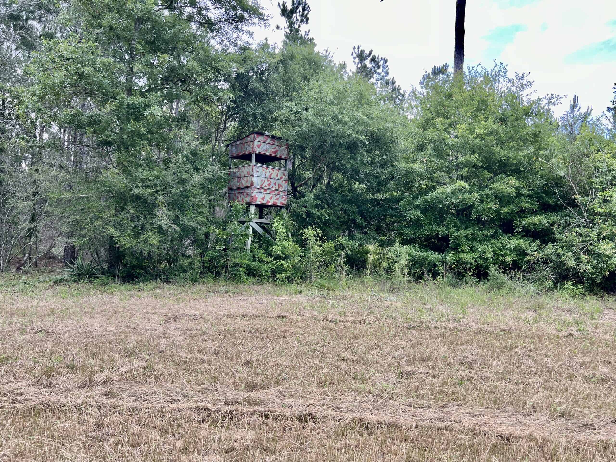 North Florida Hunting Land for Sale