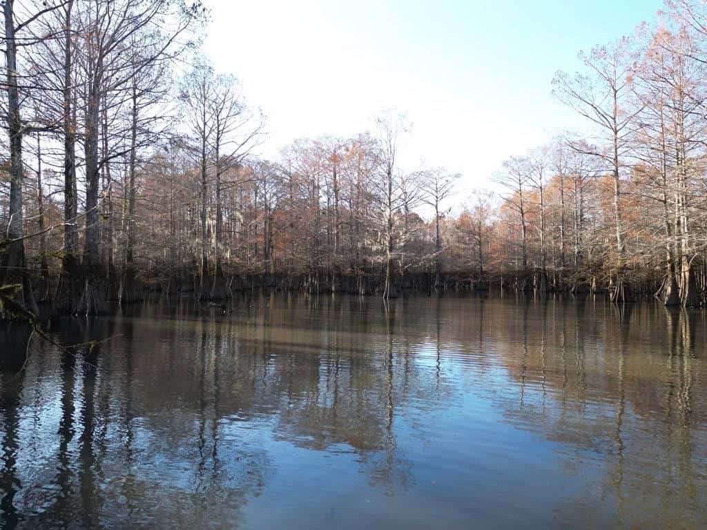 Hunting Land and Camp for Sale on the Pearl River