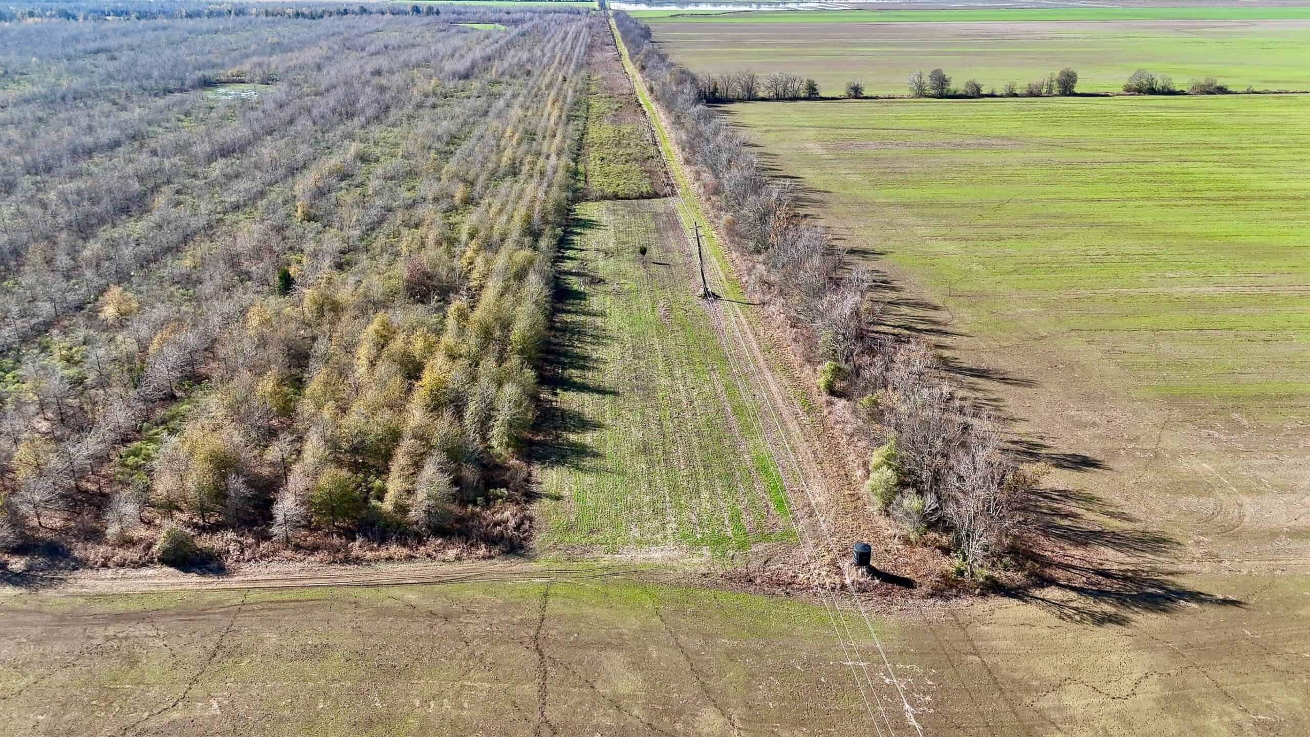 Delta Duck and Deer Hunting Property for Sale