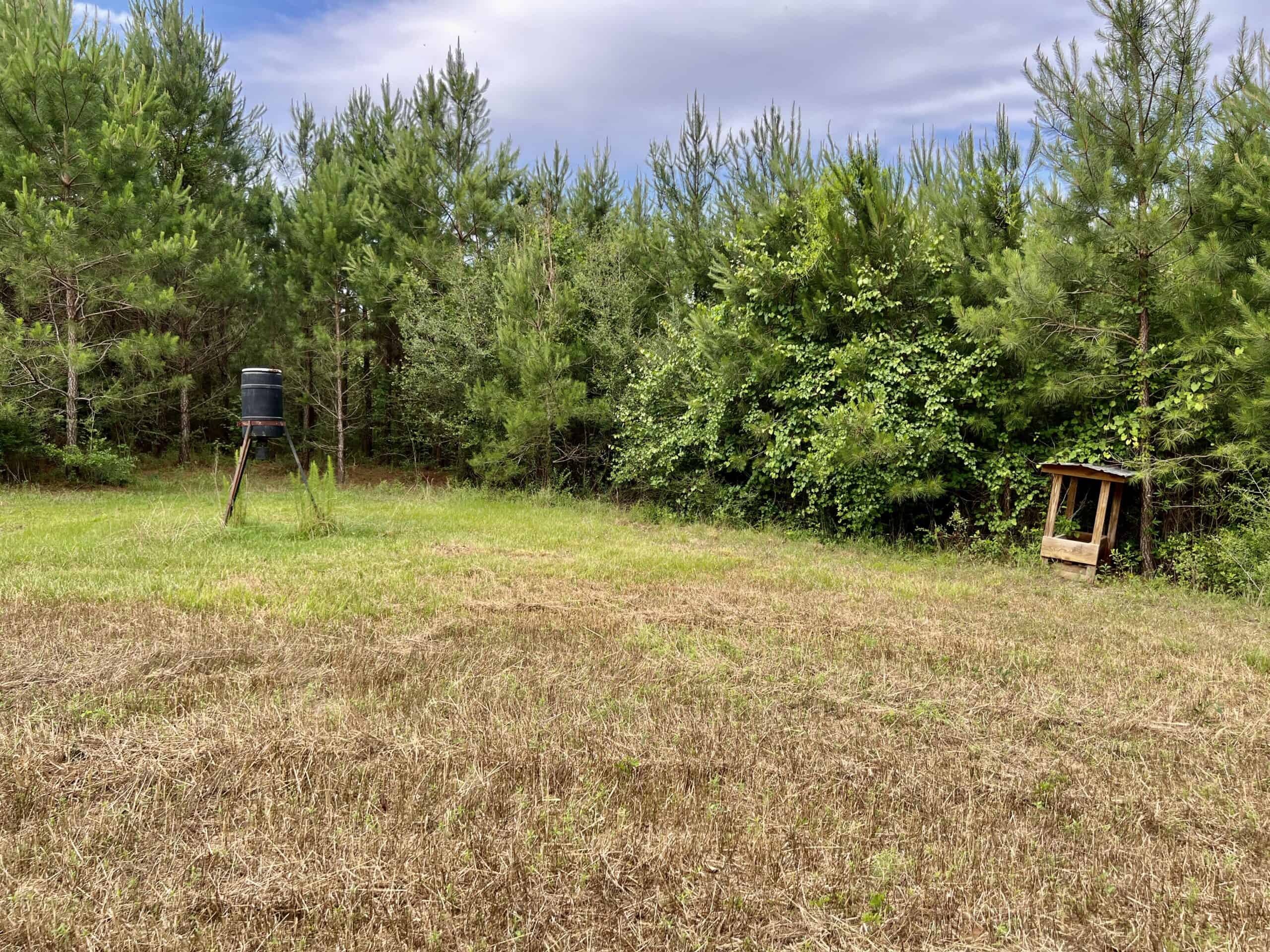 North Florida Hunting Land for Sale