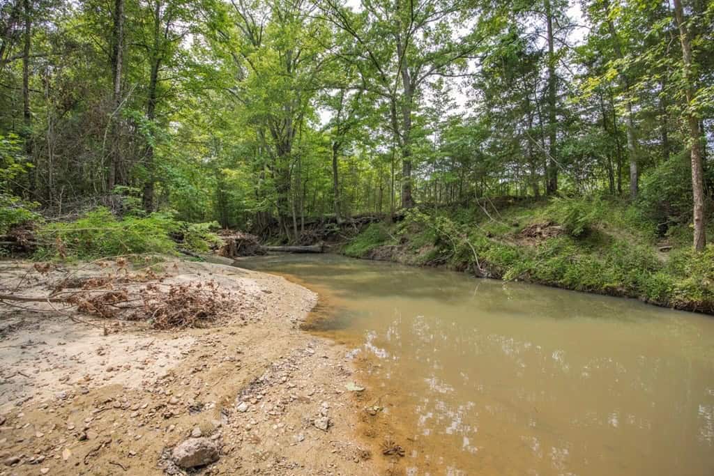 Turn Key Small Hunting Tract in Hinds County