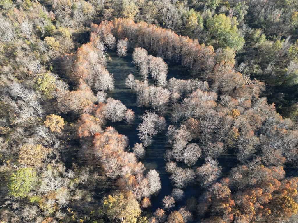 Hunting Land and Camp for Sale on the Pearl River