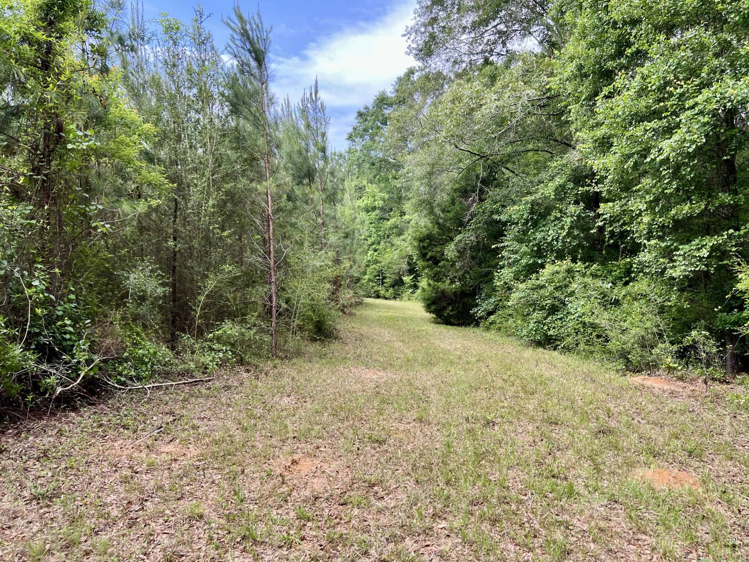 North Florida Hunting Land for Sale