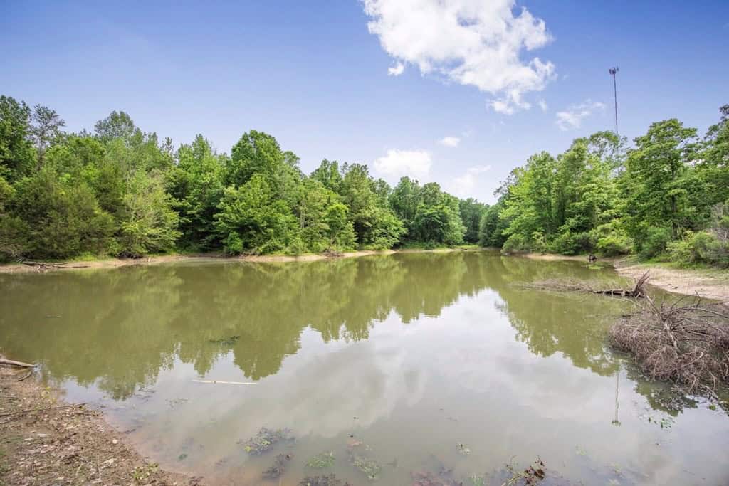 Turn Key Small Hunting Tract in Hinds County