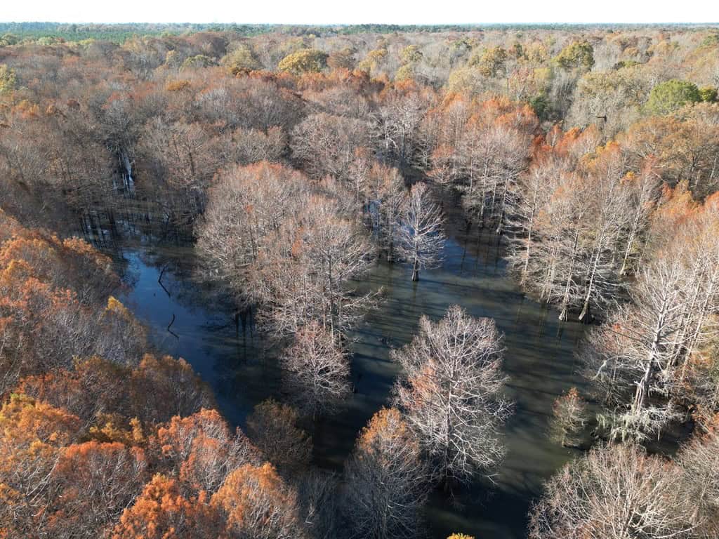 Hunting Land and Camp for Sale on the Pearl River