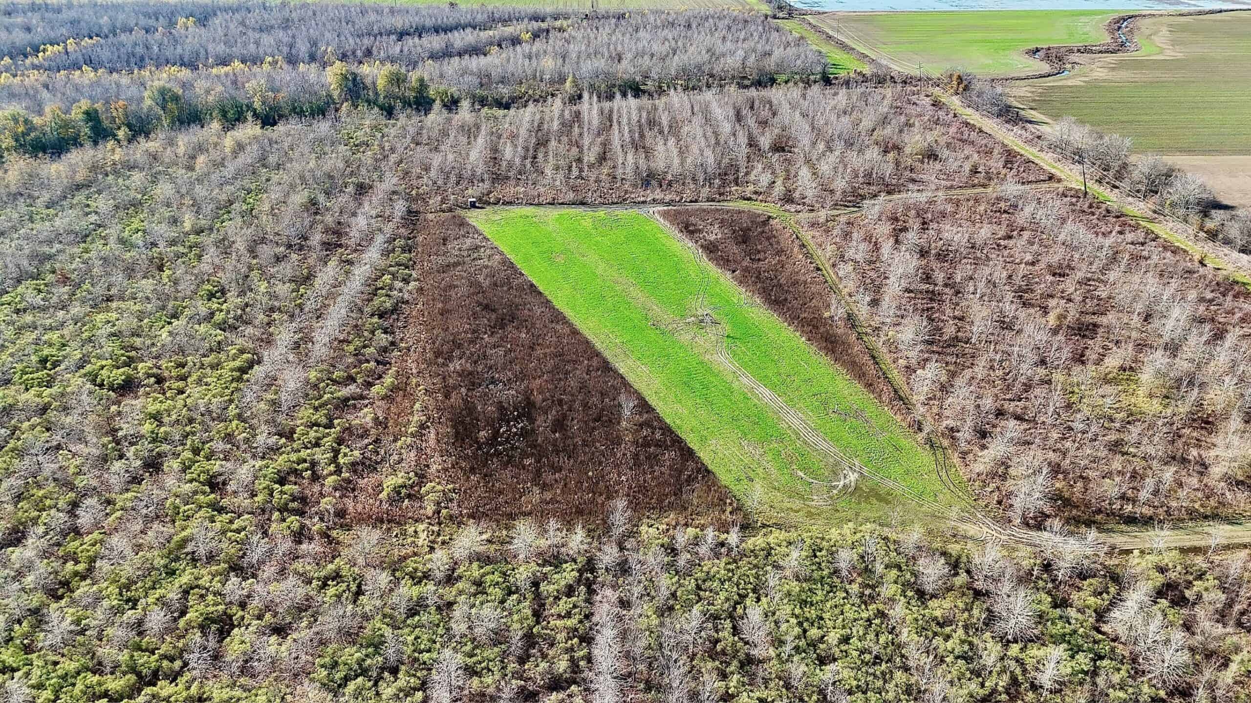 Delta Duck and Deer Hunting Property for Sale
