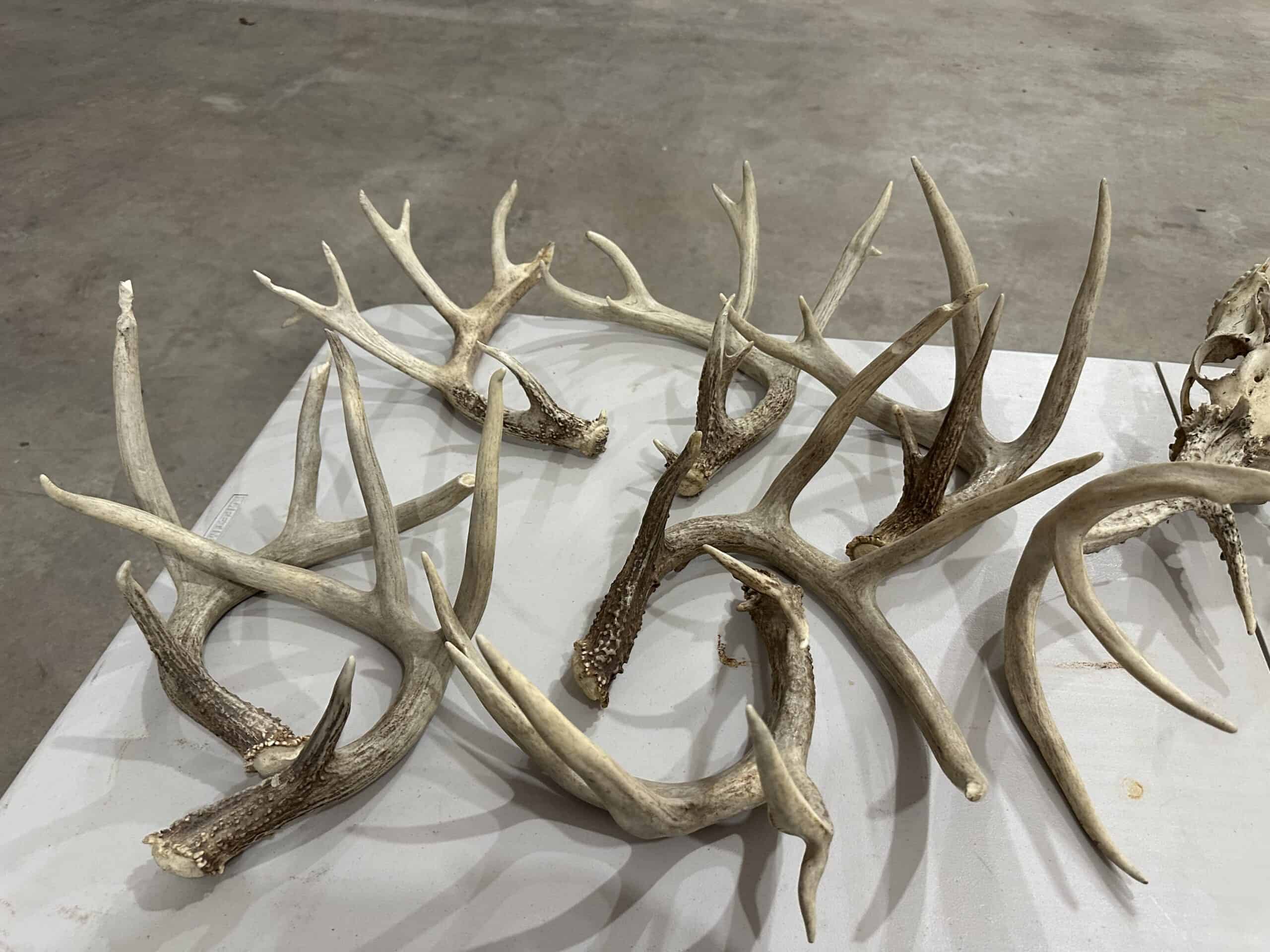 Premier Northern MO Hunting Property FOR SALE