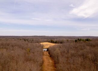 28.4+/- Acres in the Southern Missouri Ozarks for Sale