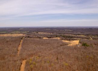 28.4+/- Acres in the Southern Missouri Ozarks for Sale