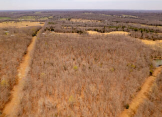 28.4+/- Acres in the Southern Missouri Ozarks for Sale